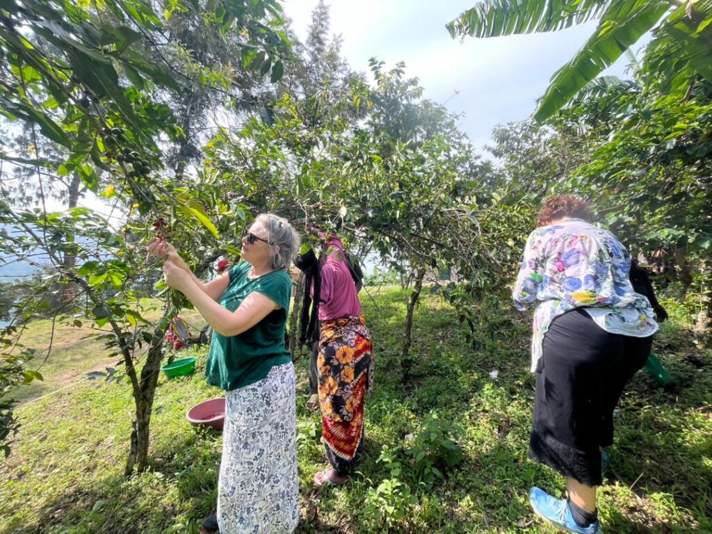 coffee tour at karongi by discover lake kivu